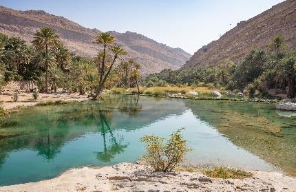 Colazione e partenza per Wadi Bani Khalid, bagno nelle piscine naturali dell oasi e, per i più