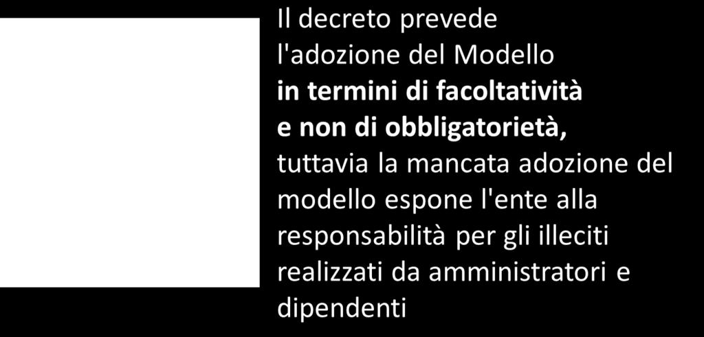 modelli organizzativi del D.Lgs.