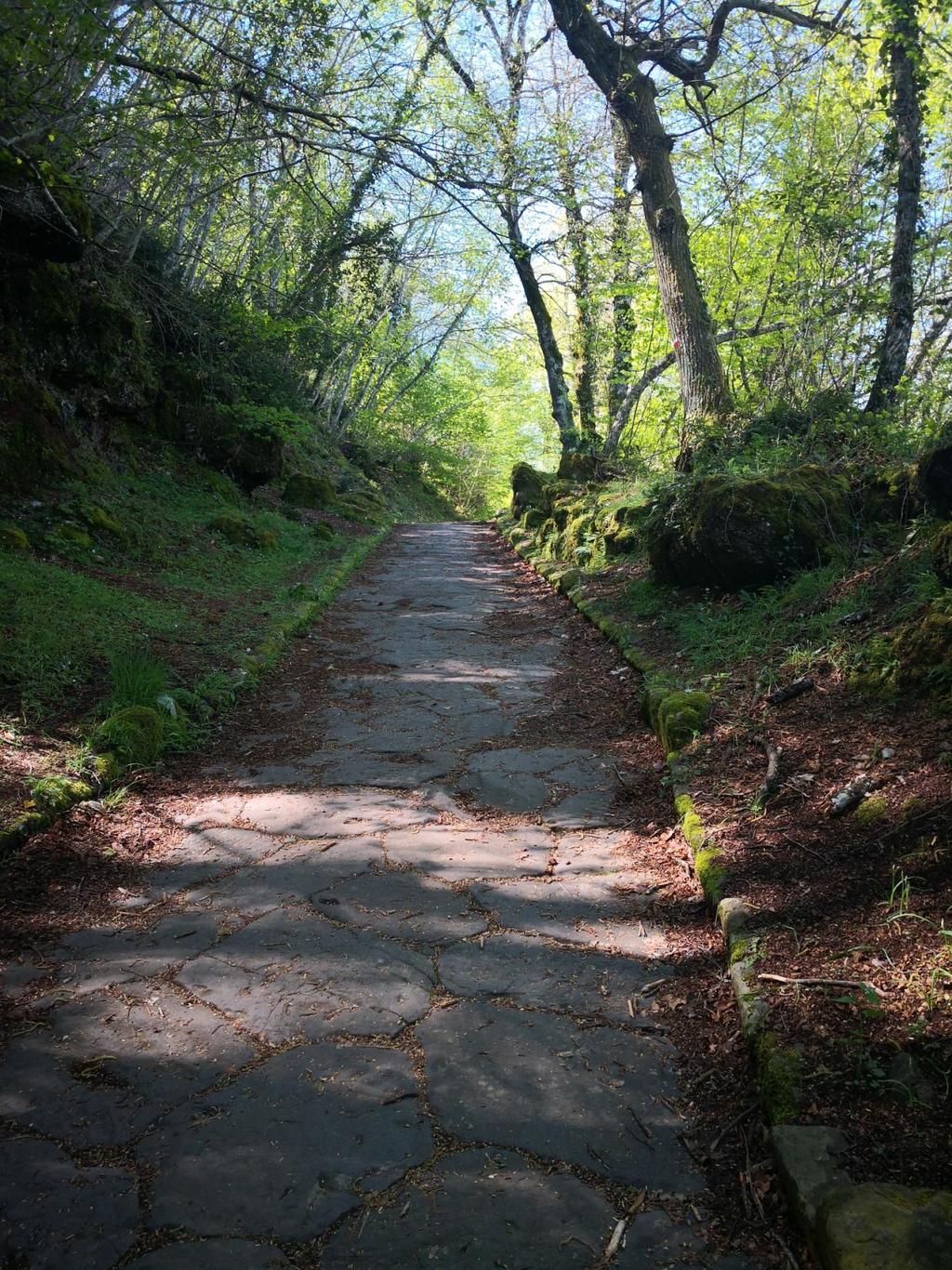 CI SONO PIETRE E ALBERI E TANTA ARIA UMIDA FRANCESCO O. CAMMINO SULLA MONTAGNA PER LA BELLA VISTA ANDREA B.