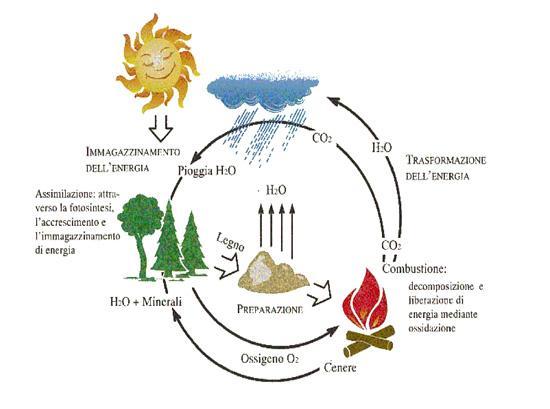 Biomasse: fonti