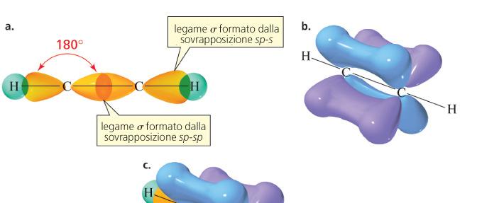 STRUTTURA