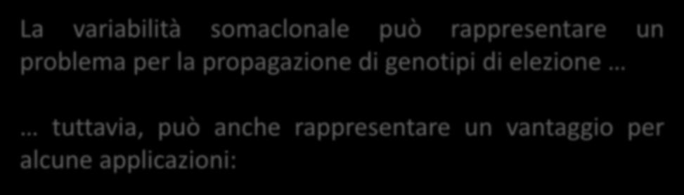 Potenzialità La variabilità somaclonale può rappresentare un problema per la propagazione di genotipi di elezione tuttavia, può anche rappresentare un vantaggio per alcune applicazioni: Selezione di