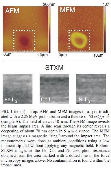 XMCD (X-ray magnetic circolar dichroism) Spettromicroscopia a T amb per irradiazione di protoni Campioni privi di impurezze metalliche Proton focus beam