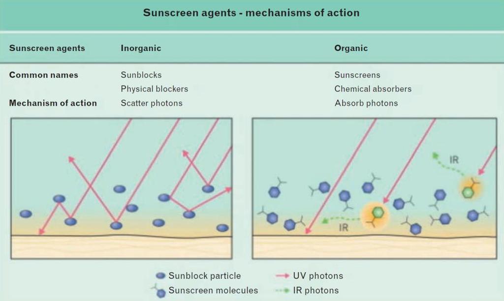 Forme cosmetiche: oli, stick, mousse, lipogel, idrogel, emulsioni O/A e A/O, paste, creme, acque solari Si