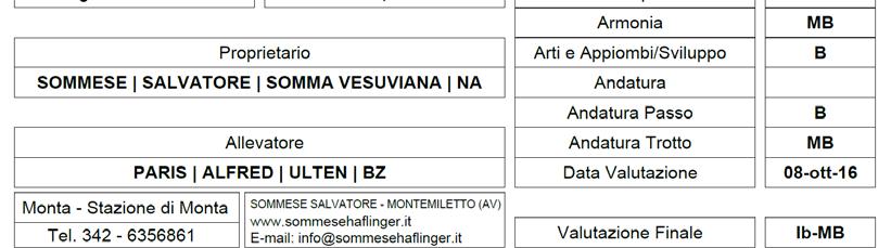 diretta paterna. Le voci parziali e la valutazione morfologica finale dello stallone sono riportati a sinistra.