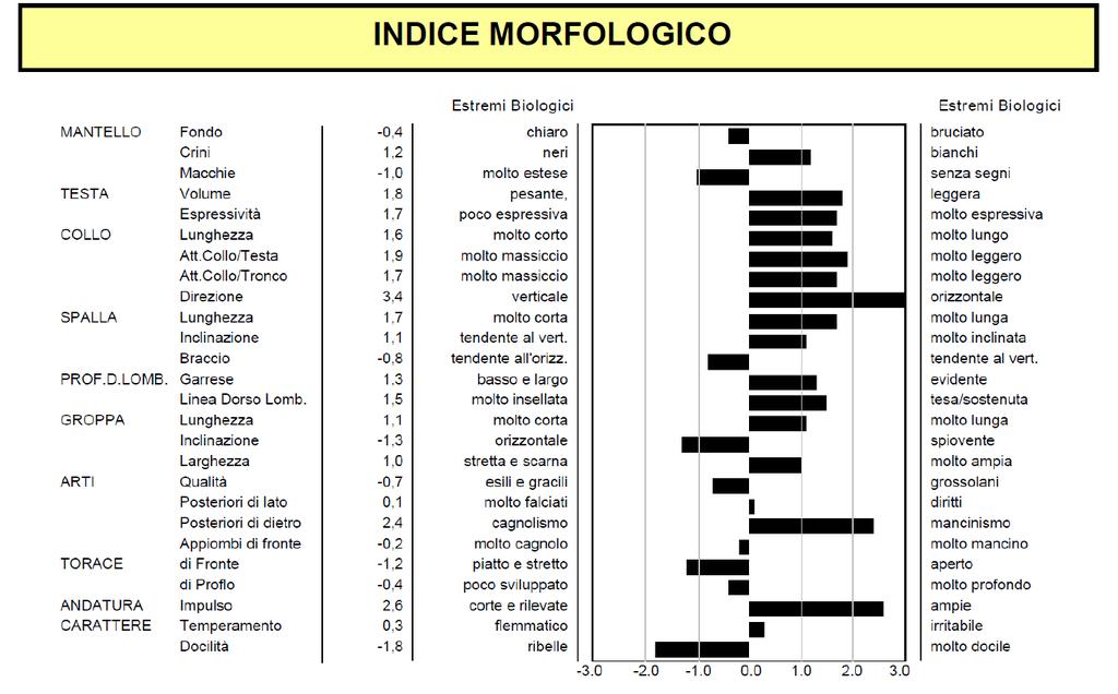 INDICE MORFOLOGICO LA VALUTAZIONE MORFOLOGICA LINEARE Il Cavallo Haflinger Italiano viene valutato a 30 mesi di età con una scheda morfologica lineare.