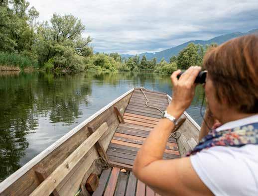 Terra di tradizioni e profumi, qui si trovano un parco botanico che offre un panorama magnifico e le Bolle di Magadino, riserva naturale unica in Ticino.