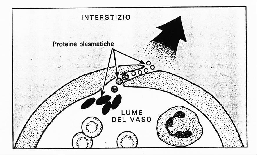 ALTERAZIONE DELLA