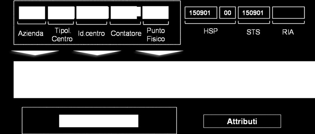 Figura 1 - Esempio: UOC Chirurgia generale AO Cardarelli di Napoli Di seguito la struttura della codifica.