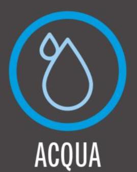 CALCOLO DELL IMPRONTA IDRICA A livello aziendale si possono distinguere: Acqua blu: acqua di irrigazione e acqua di processo Acqua prelevata da fonti naturali e acquedotto Acqua verde: acqua piovana