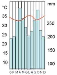 Climi di tipo A Sono caratterizzati da: 1. temperature elevate in tutto l arco dell anno, intorno ai 30 C. 2. precipitazioni abbondanti, oltre i 3.000 mm. 3. Si classificano in base al regime pluviometrico.