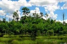 Il bioma è la jungla che si caratterizza per la presenza di un ricco sottobosco e spazi ampi con alberi d alto fusto e una vegetazione che, nel periodo invernale di siccità, perde le foglie Gli