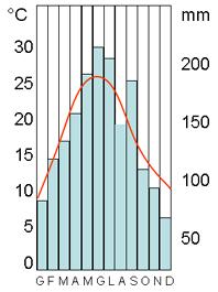 orientali Precipitazioni abbondanti con un massimo in estate Temperature mediamente