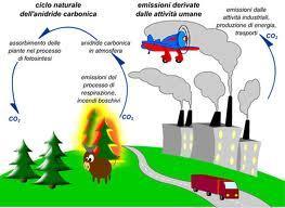 Ciclo del carbonio e sua alterazione Le emissioni antropiche di CO2 sono così elevate, che i sistemi di feedback naturali (processi di autoregolazione) non riescono a riportare la concentrazione di