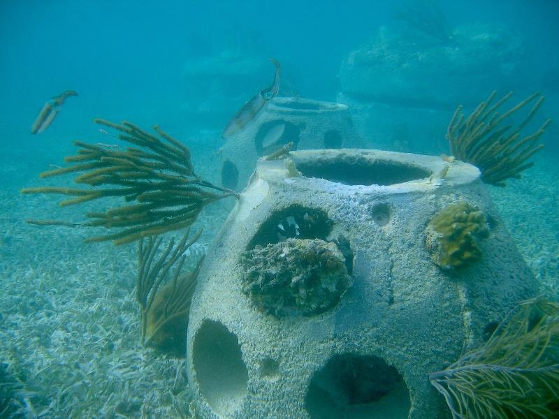 inmaglie zone sono un intervento dell isola stati per attrarre disposti leripascimento Antigua giovani in modo nelle aragoste.