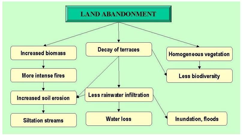 From: Landscape change in mediterranean farmlands: impacts of land abandonment on cultivation terraces in Portofino