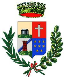 ORIGINALE COMUNE DI BREBBIA Provincia di Varese ESTRATTO DAL REGISTRO DELLE DELIBERAZIONI DEL CONSIGLIO COMUNALE N.