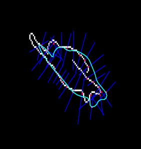 Applicazione di una B-spline a