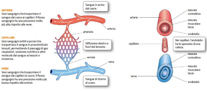 3. Il percorso del