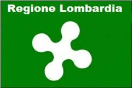 Regione Lombardia Contributi a commissioni/gruppi lavoro regionali Partecipazione definizione fabbisogno e diverse attività POSITION