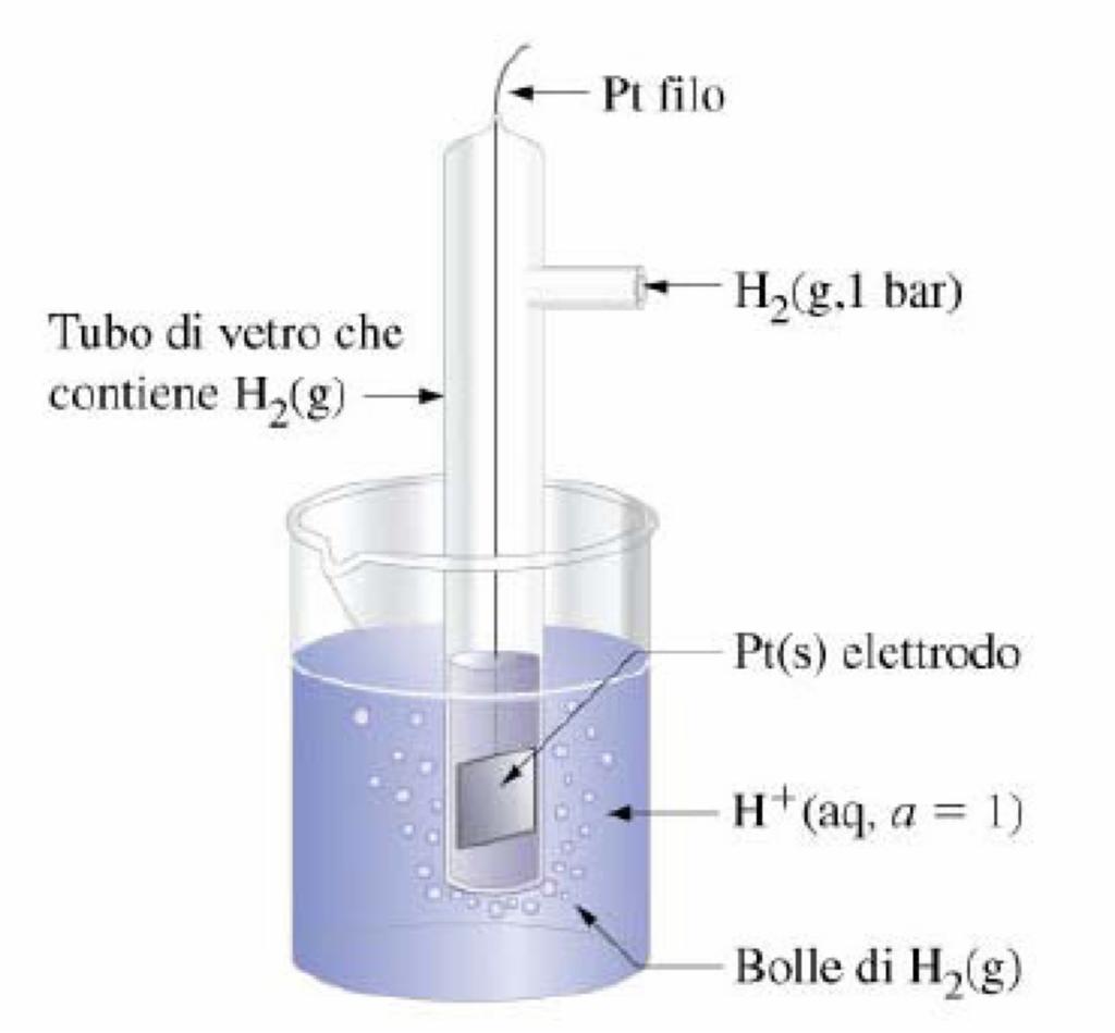 L Elettrodo di Riferimento