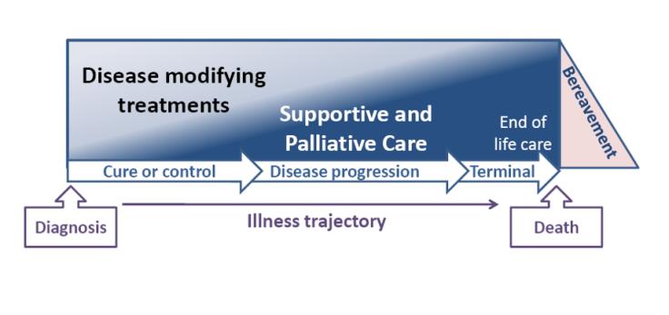 Palliative Care Not Just End