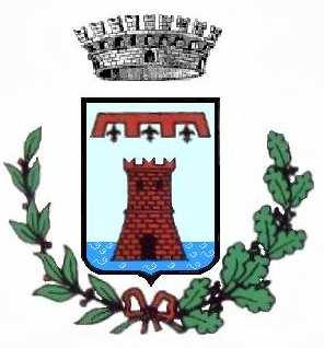 COMUNE DI CASTEL D AIANO (Provincia di Bologna) Regolamento per la disciplina del tributo