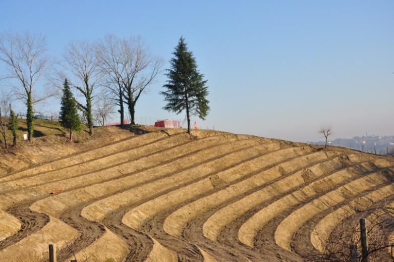 sbancamenti, movimenti consistenti di terreno: Quali