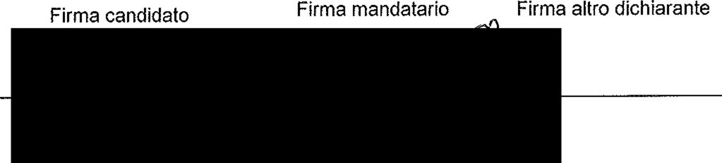 dal sottoscritto rnandatario Nome e Cognome ha ricevuto dal sottoscritto Nome e Cognome CONGIUNTAMENTE DICHIARANO CHE finanziamenti o contributi per un importo complessivo superiore a quello di