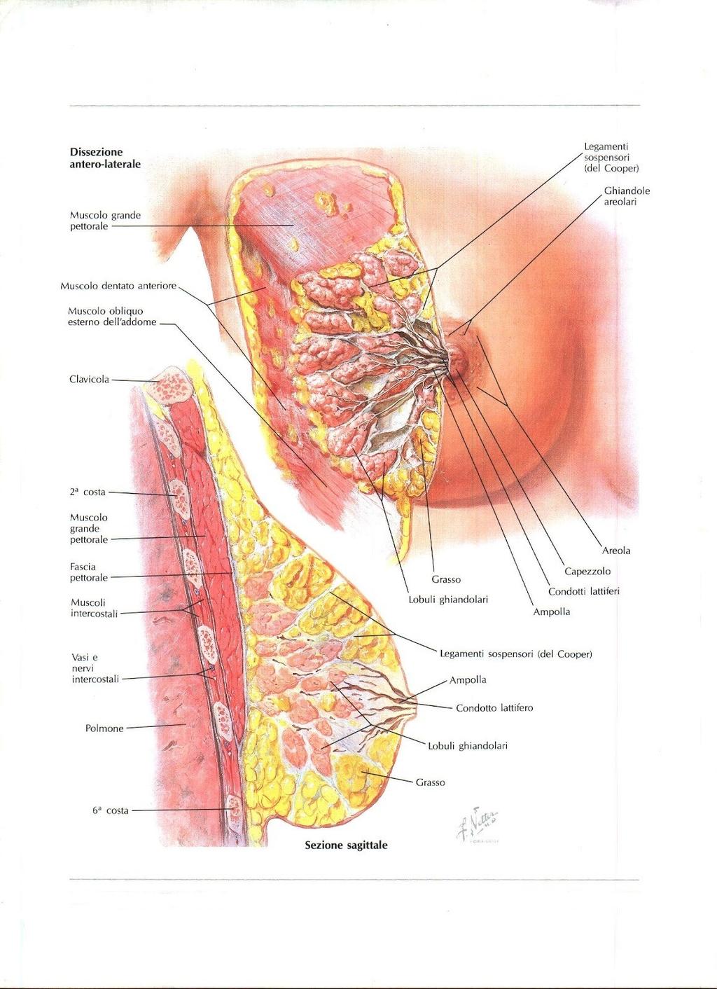 Fig. 7 19