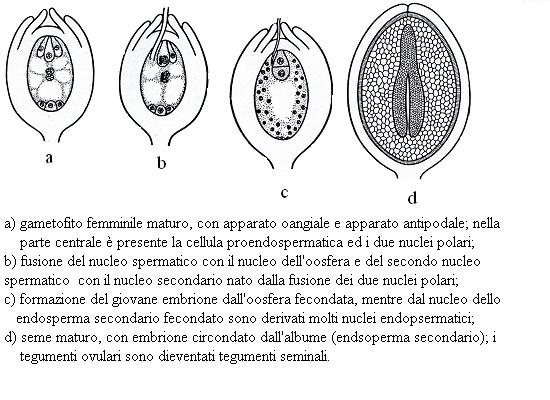 parte 45