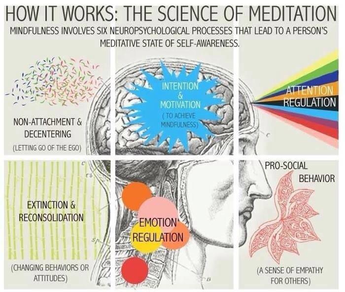 La scienza della meditazione di consapevolezza mindfulness