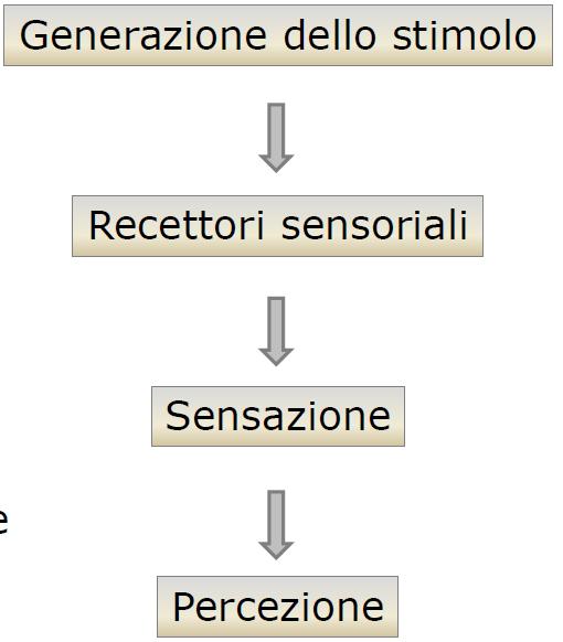 La sensazione è l informazione di base così come si presenta ai nostri sensi, mentre la