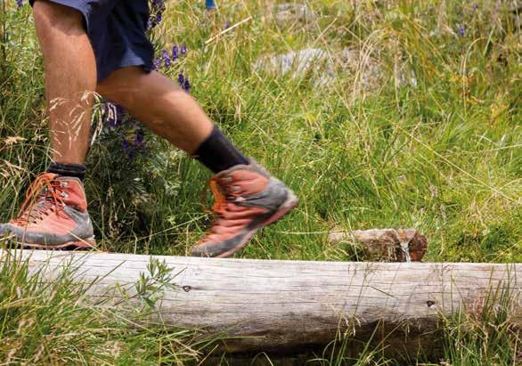 90 Silandro Lasa Movimento e natura Escursioni Escursione ad alta quota sul Monte Sole Punto di partenza: San Martino in Monte Percorso: Da Laces con la funivia si arriva fino a San Martino in Monte.