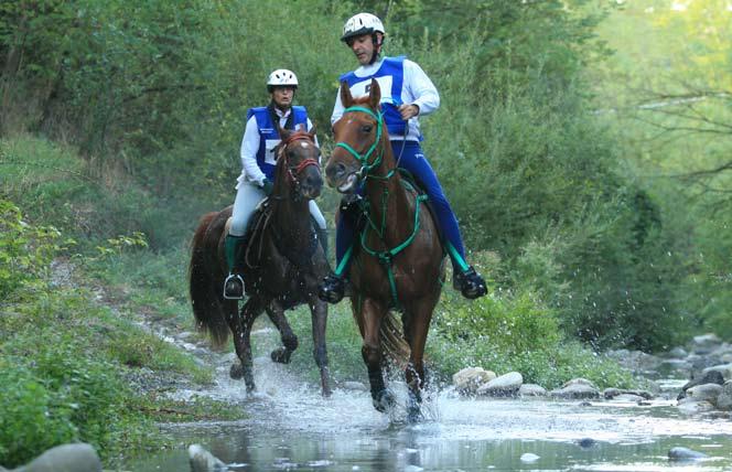 Categorie CEI*** 160 km - Campionato Assoluto Limite cardiaco: 64 battiti Peso Minimo: 75 kg Tempo Limite: 13 h 20 + soste Media minima 12 km/h ingresso in visita entro 20 finale 30 Anelli Km note