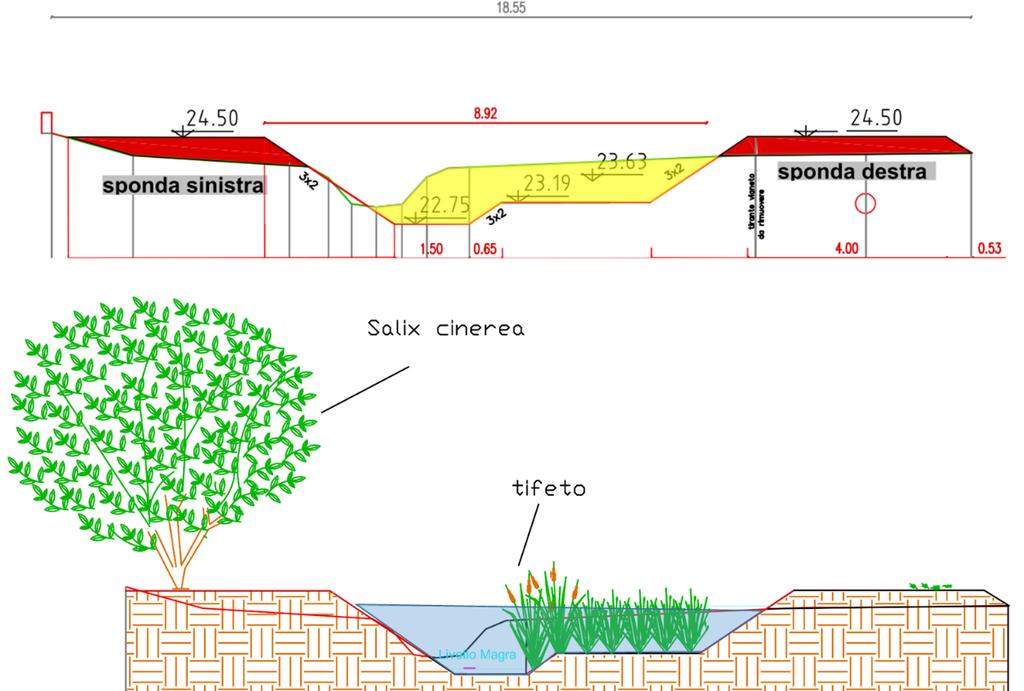 Orientale: sezione di progetto (in