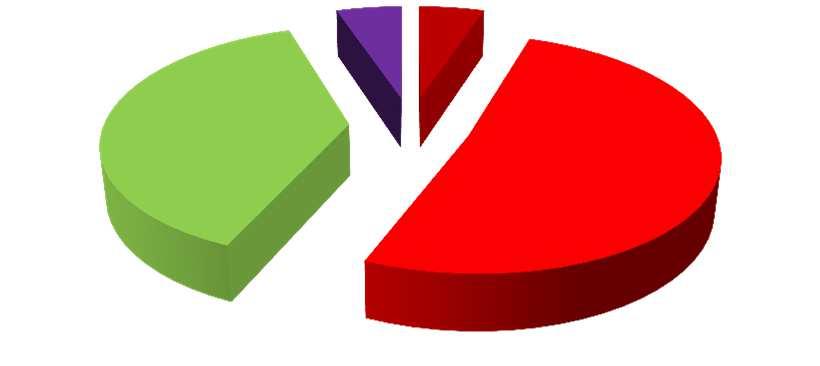 Campione 4% 2% 37% Molto peggiorato Peggiorato