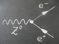 Decadimento della Z La Z o vive pochissimo e poi decade trasformandosi in coppie di particella-antiparticella.