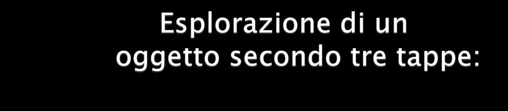 Cosituazione (negoziazione del partenariato) Cooperazione (raccolta dati: esplorazione dell oggetto come attività di