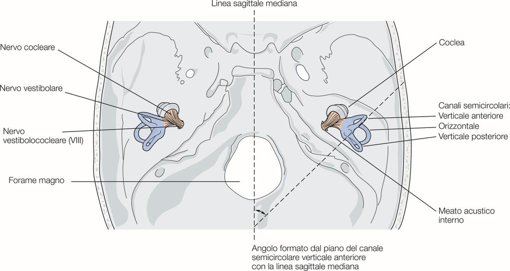 Integrazione dei segnali I