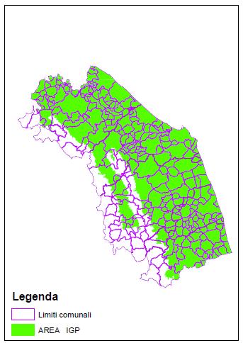 La zona di produzione 182 Comuni interamente compresi 42 Comuni parzialmente compresi 76% del territorio regionale Delimitazione effettuata dal Servizio Suoli della Regione Marche sulla base