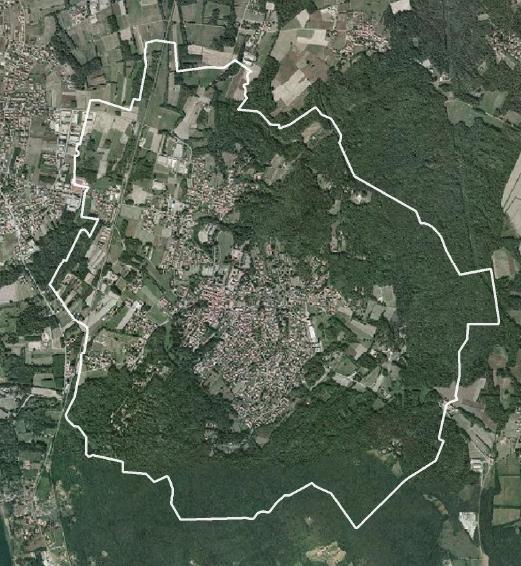 figura 1-1 _ foto aerea del comune di Taino (fonte: Google Maps) Il contesto comunale è caratterizzato dalla forte presenza di aree boscate e pioppeti che, occupando il 57 del territorio di Taino,