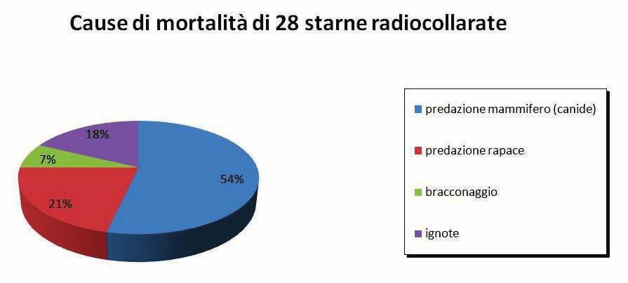 Analisi della