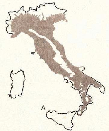 Distribuzione fino agli anni 1950 (Matteucci e Toso, 1985)