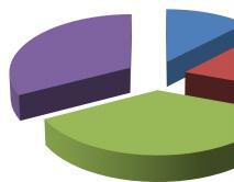 Non soddisfacenti 6 Discreti 9 Buoni 18 Rapidi 16