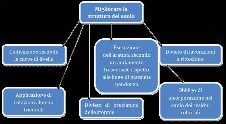 2. Analisi delle singole misure agroambientali