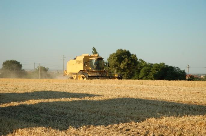 Potenziale di mitigazione Per mitigazione si intende l insieme degli interventi atti a ridurre le emissioni di gas serra in modo da stabilizzare la