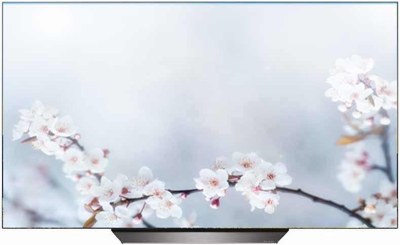 899 SONY TV OLED 55 55F8 Risoluzione Ultra HD (3840x2160) Processore X1 Extreme Pannello Tecnologia Triluminos Display