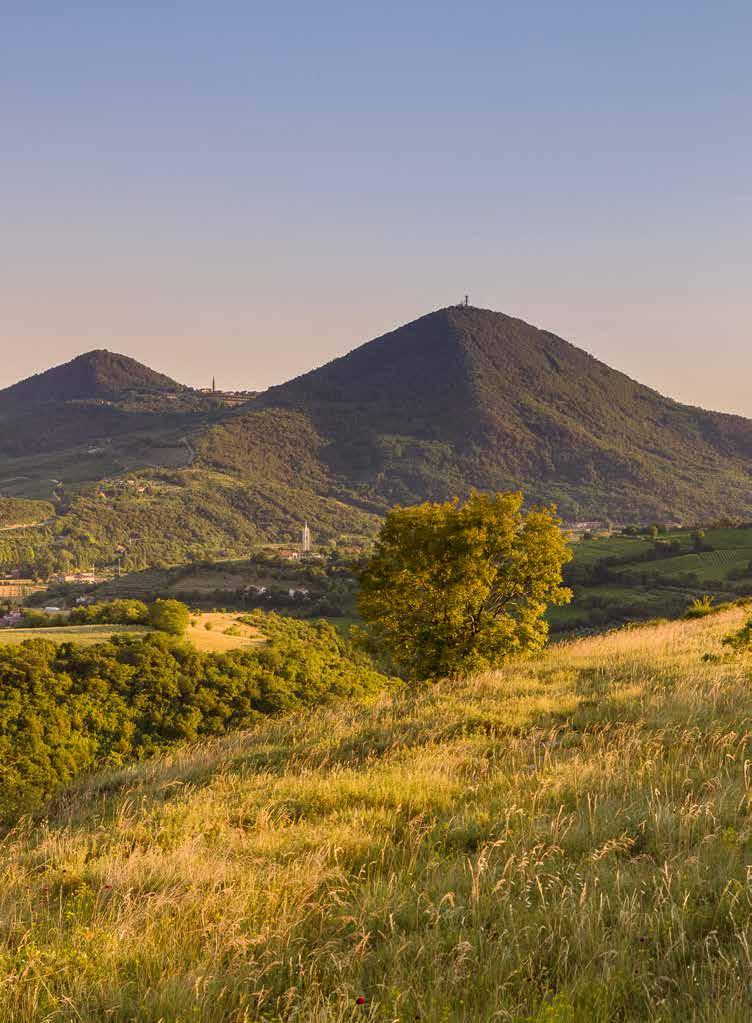 DESTINAZIONE TERME E COLLI La prima area per la salute preventiva in Europa. 16 Comuni, 16 Identità, 1 Logo che li unisce.