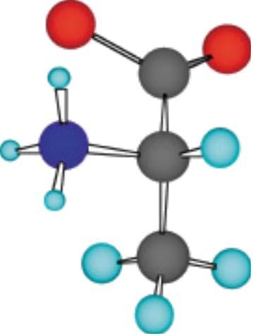 hanno almeno un centro stereogenico (il carbonio